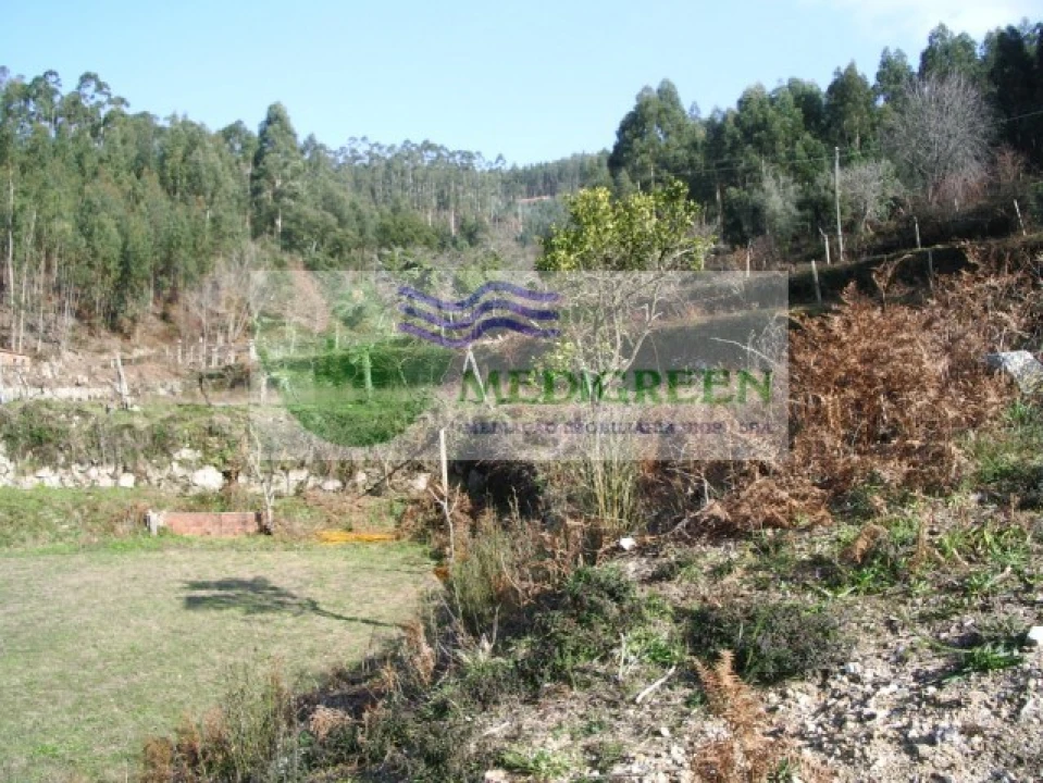 Terreno para Venda em Cedrim e Paradela Foto 1