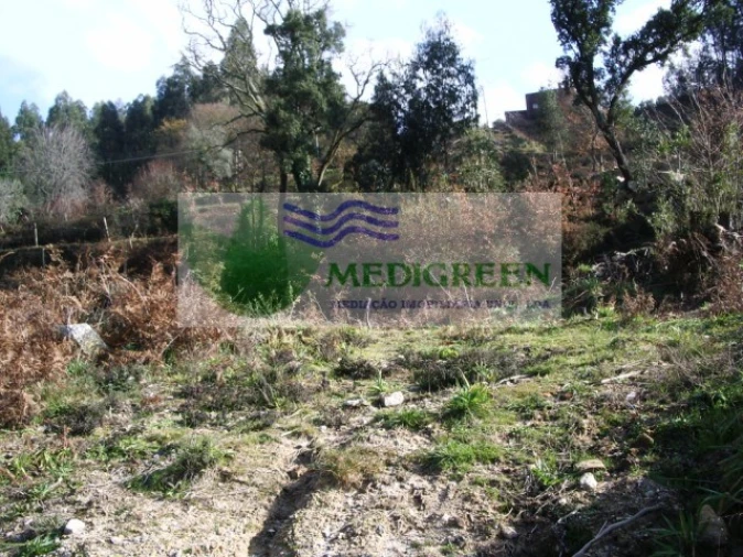 Terreno para Venda em Cedrim e Paradela Foto 2