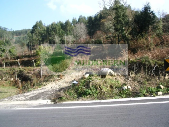 Terreno para Venda em Cedrim e Paradela Foto 4