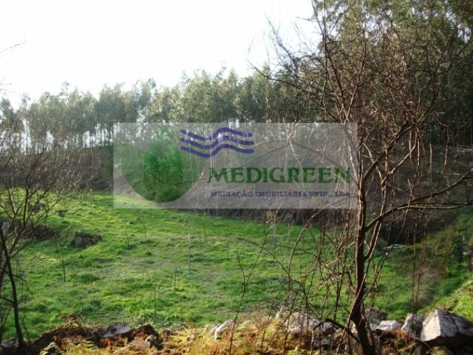 Terreno para Venda em Rocas do Vouga Foto 2
