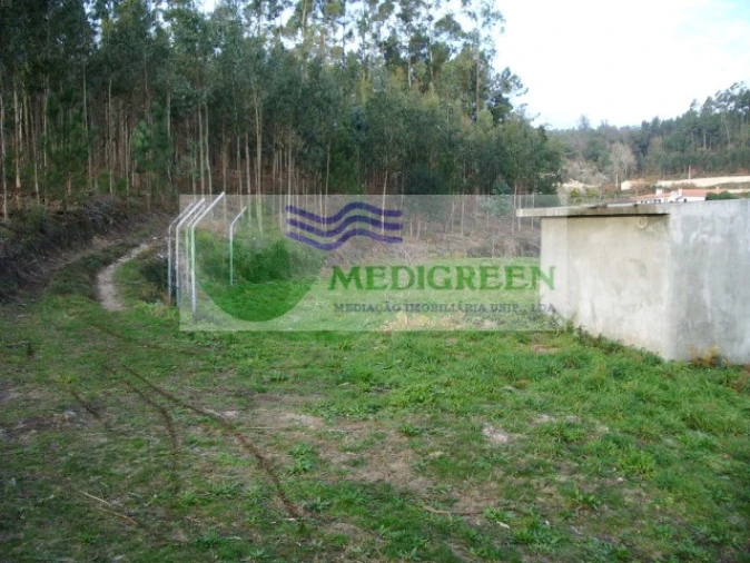 Terreno para Venda em Rocas do Vouga Foto 4