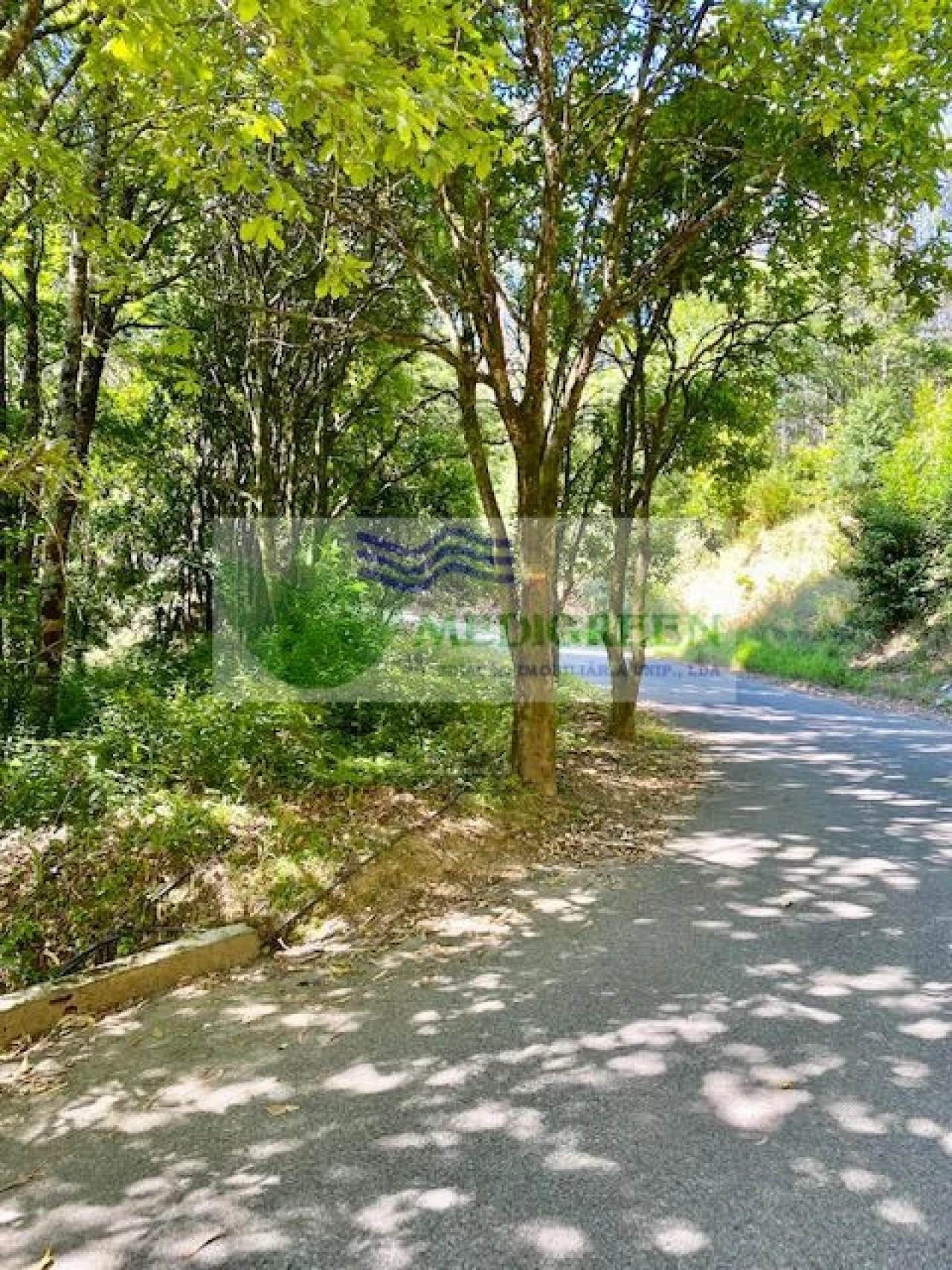 Terreno para Venda em Pessegueiro do Vouga Foto 1