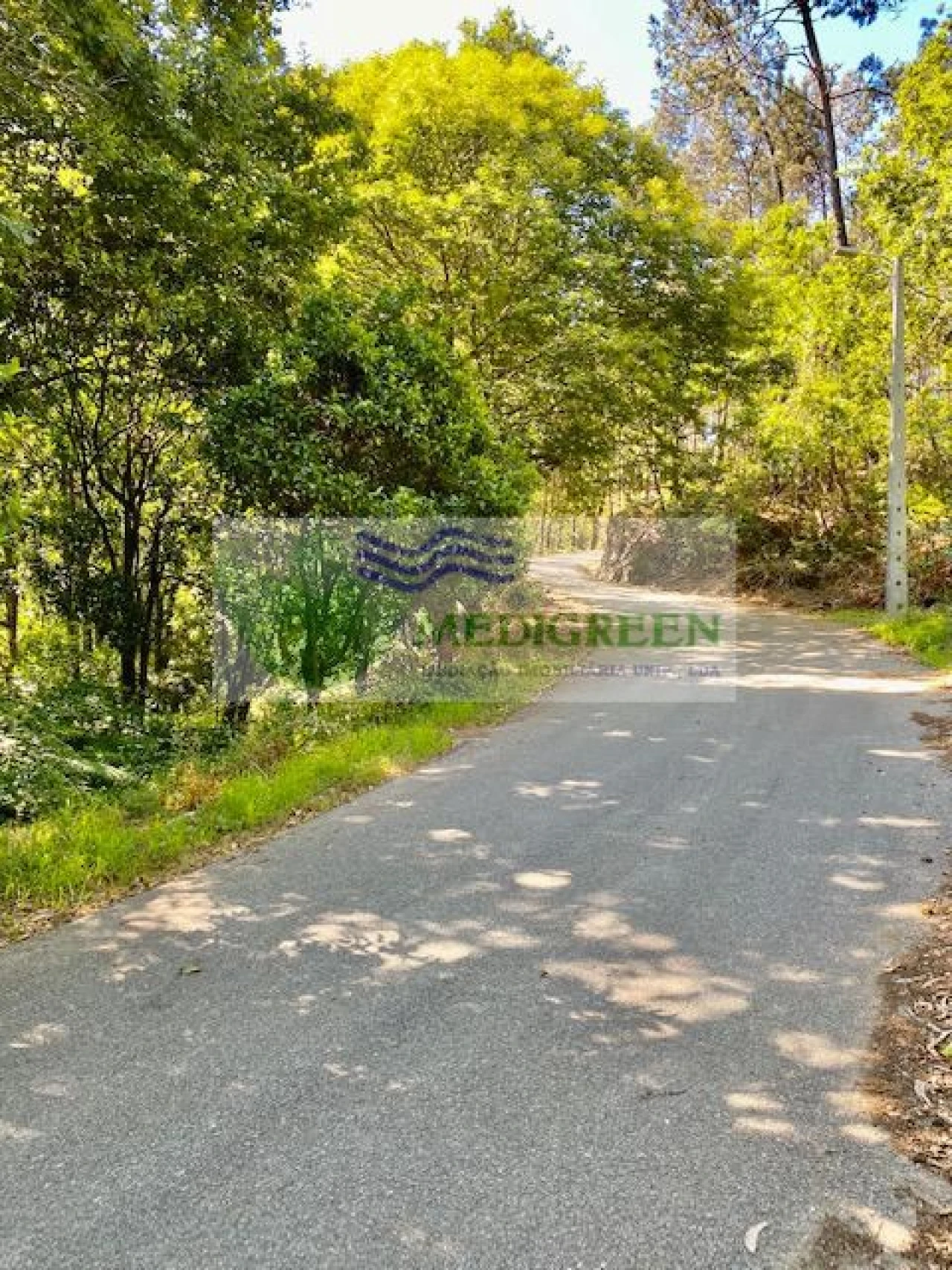 Terreno para Venda em Pessegueiro do Vouga Foto 4