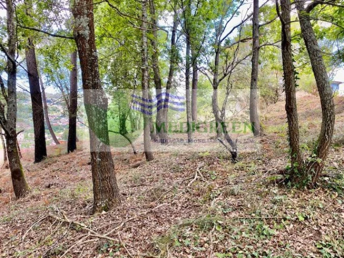 Terreno para Venda em Cedrim e Paradela