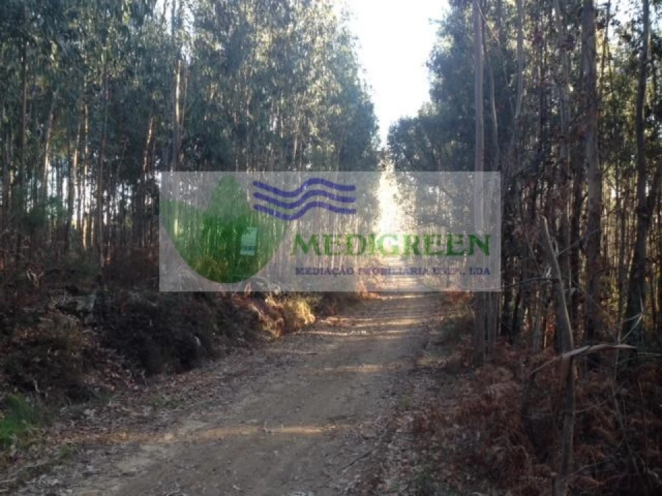 Terreno para Venda em Sever do Vouga Foto 2