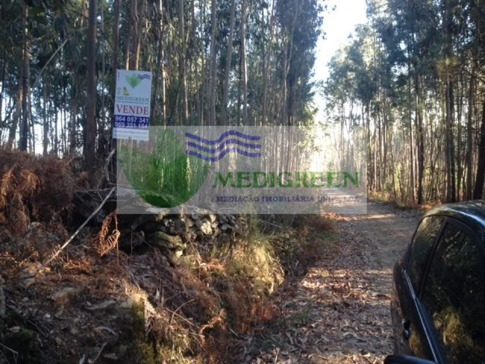 Terreno para Venda em Sever do Vouga Foto 4