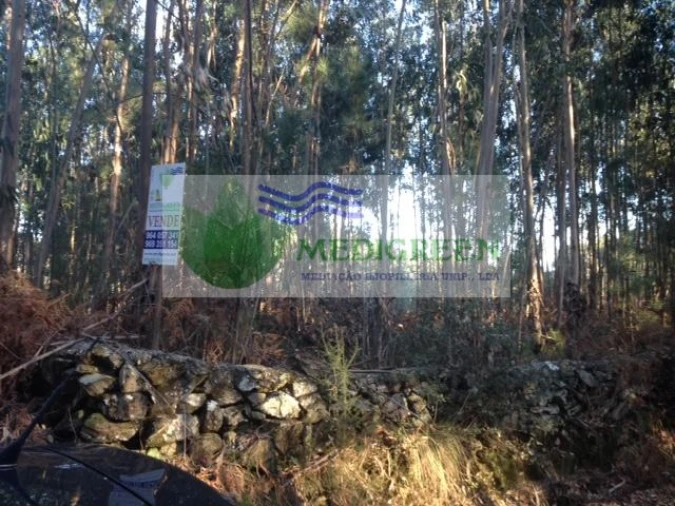 Terreno para Venda em Sever do Vouga Foto 3