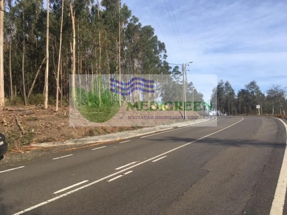 Terreno para Venda em Talhadas Foto 2