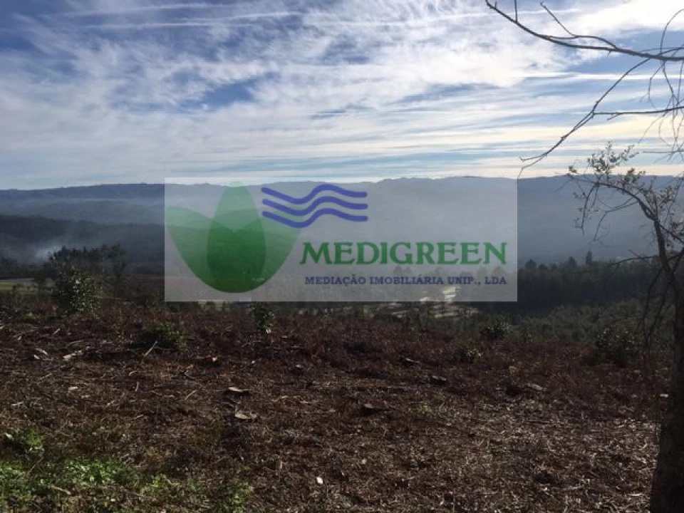 Terreno para Venda em Talhadas Foto 3