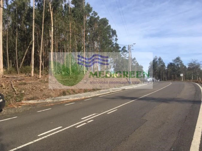 Terreno para Venda em Talhadas Foto 2