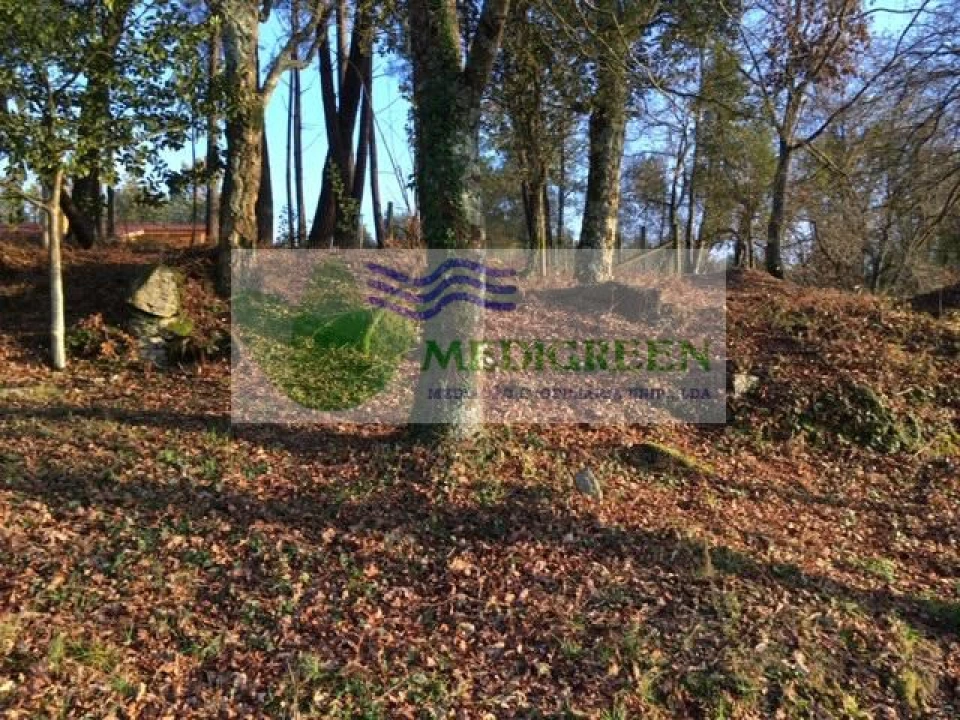 Quinta T5 para Venda em Cedrim e Paradela Foto 23