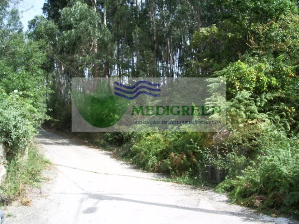 Terreno para Venda em Pessegueiro do Vouga Foto 1