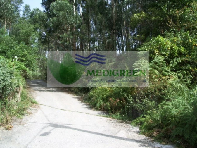 Terreno para Venda em Pessegueiro do Vouga Foto 2