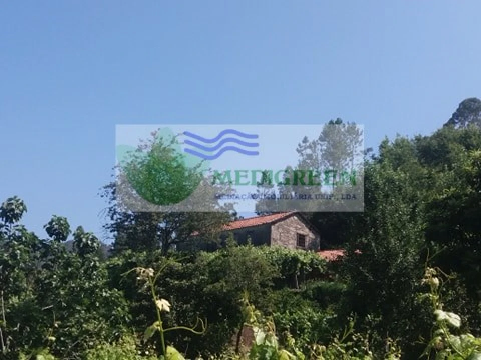 Quinta T3 para Venda em Couto de Esteves Foto 1