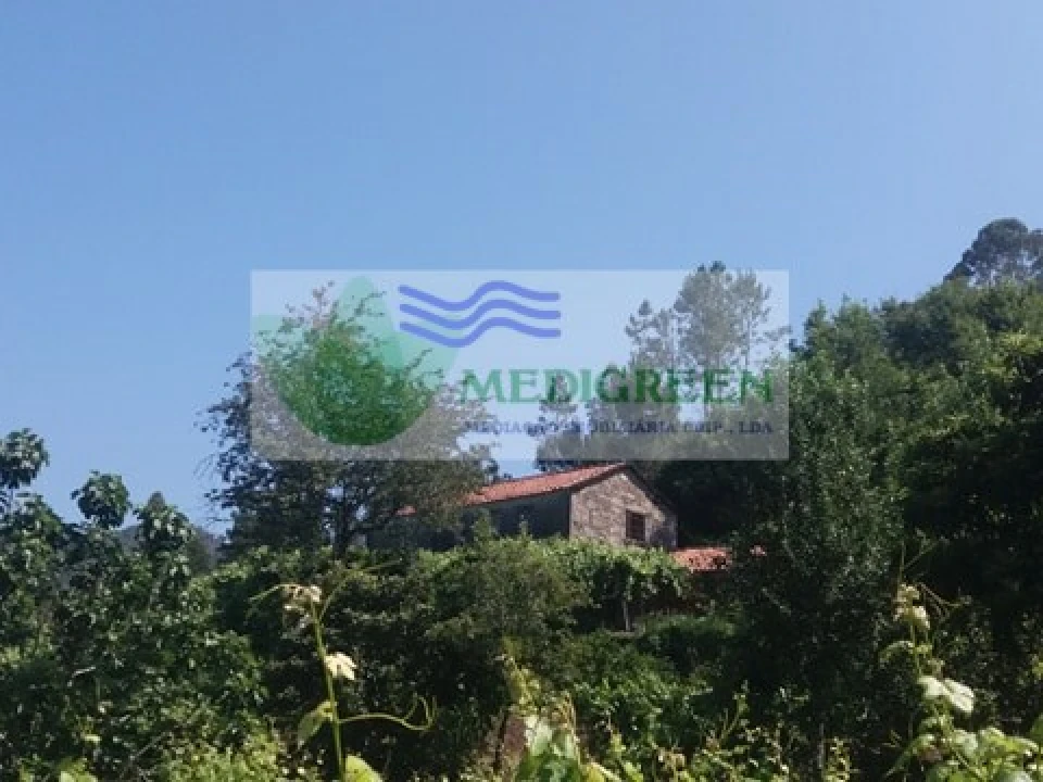 Quinta T3 para Venda em Couto de Esteves Foto 2