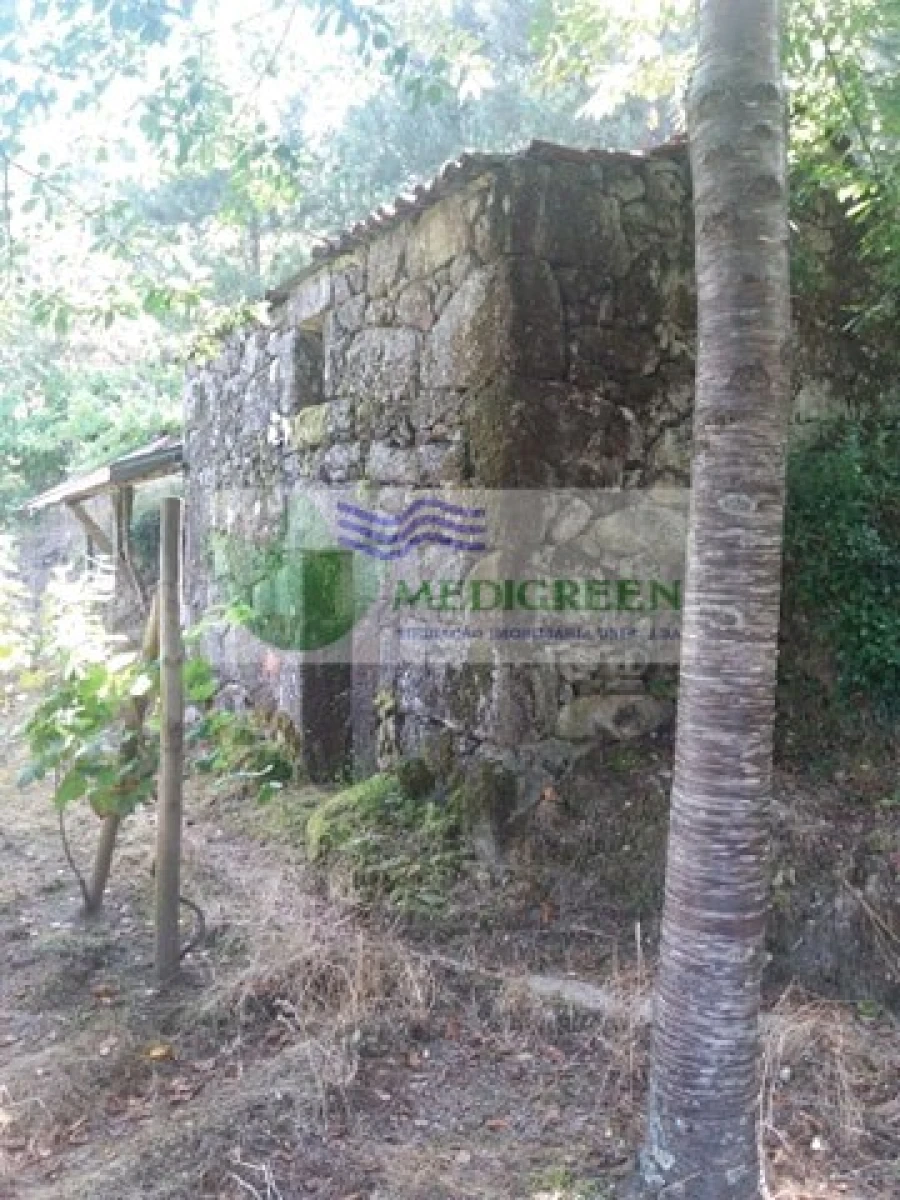 Quinta T3 para Venda em Couto de Esteves Foto 4