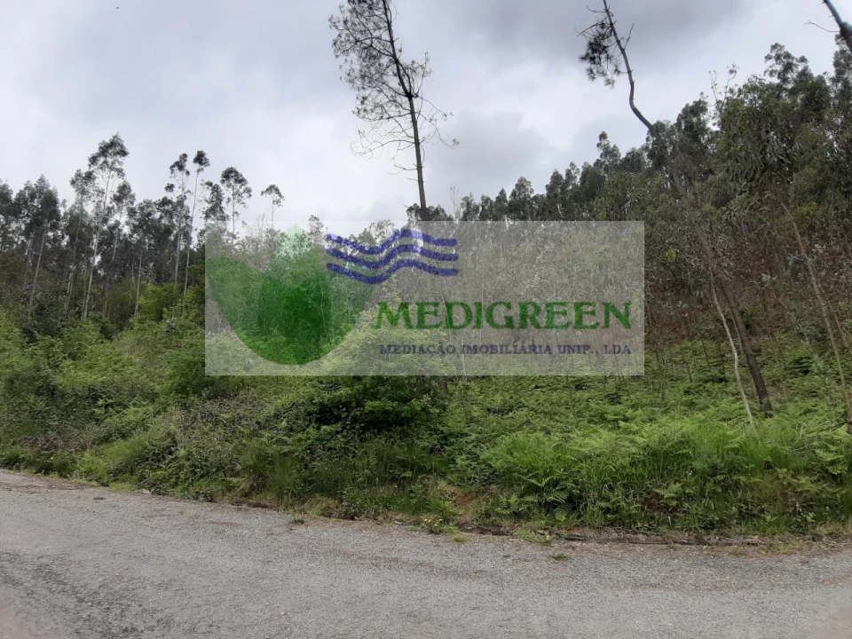 Terreno para Venda em Sever do Vouga Foto 2