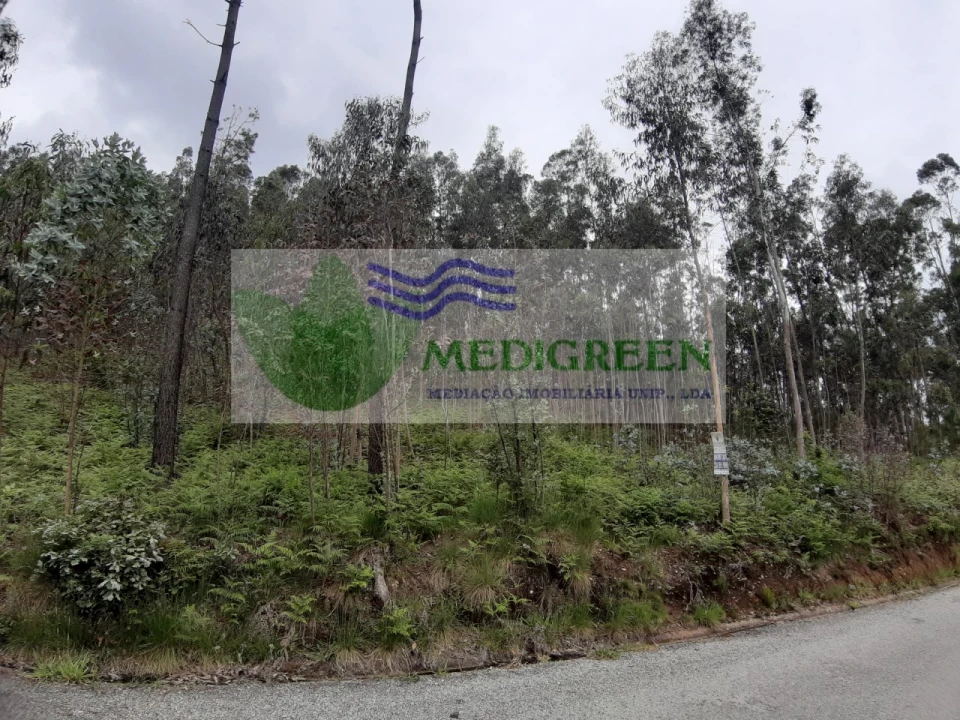 Terreno para Venda em Sever do Vouga Foto 4