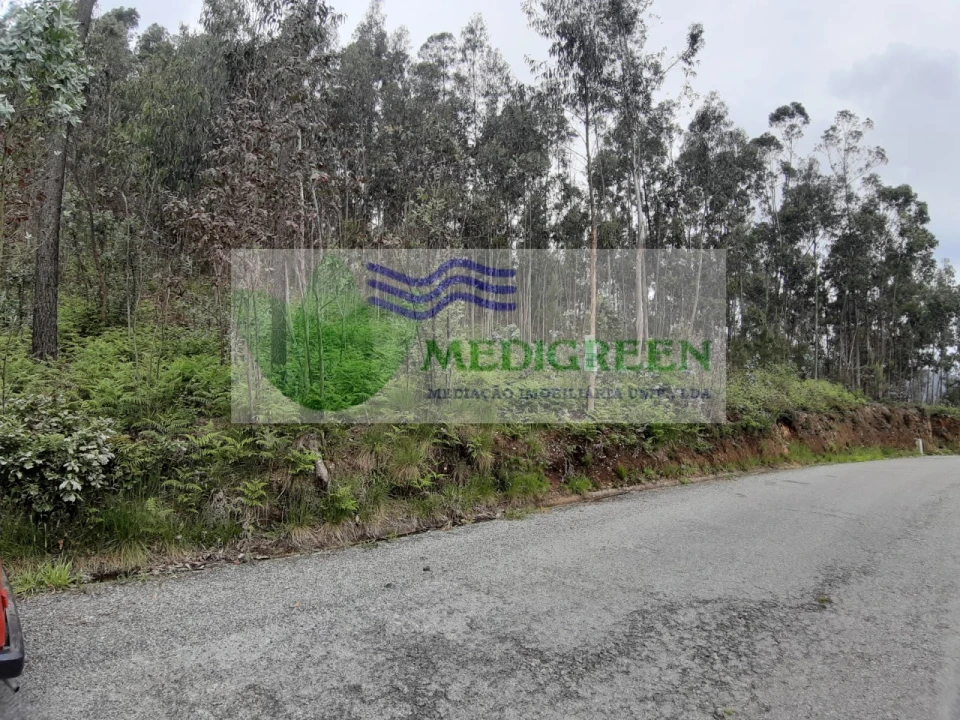 Terreno para Venda em Sever do Vouga Foto 5