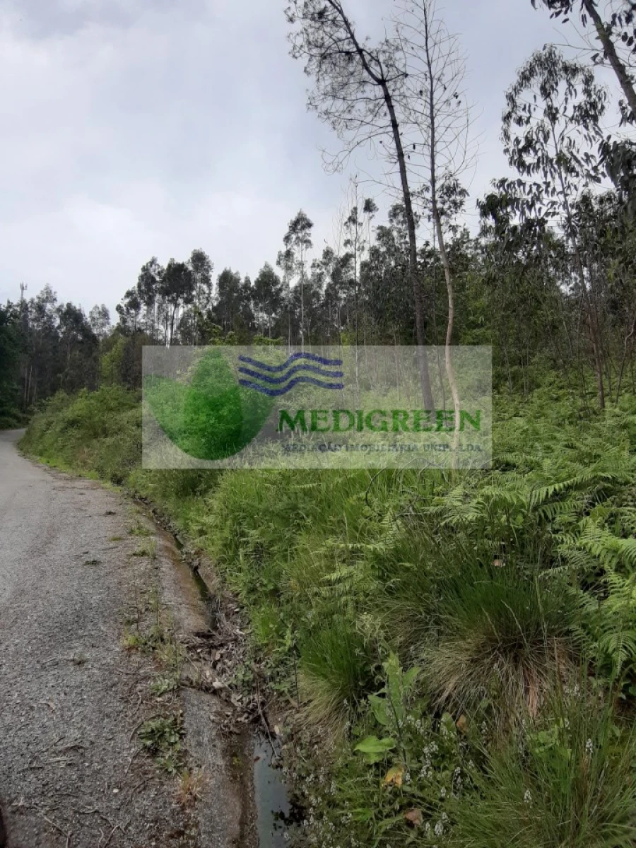 Terreno para Venda em Sever do Vouga Foto 1