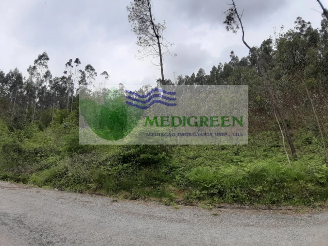 Terreno para Venda em Sever do Vouga Foto 2