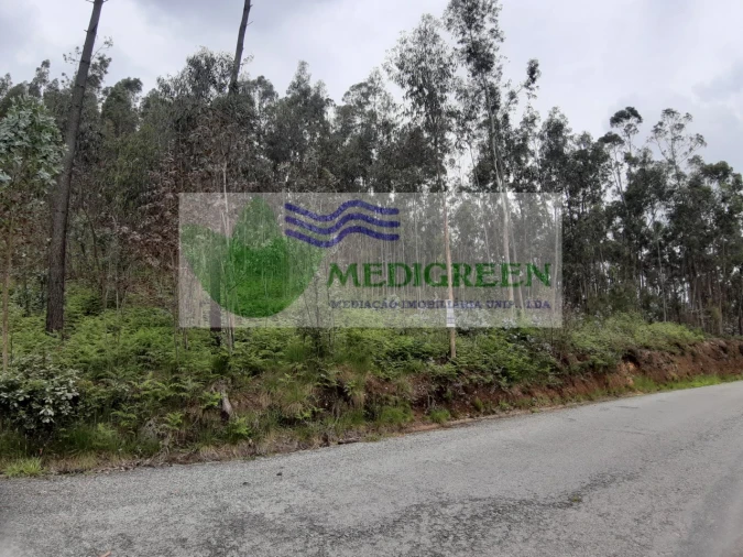 Terreno para Venda em Sever do Vouga Foto 3