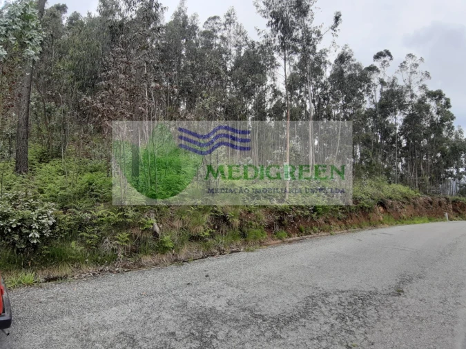 Terreno para Venda em Sever do Vouga Foto 5