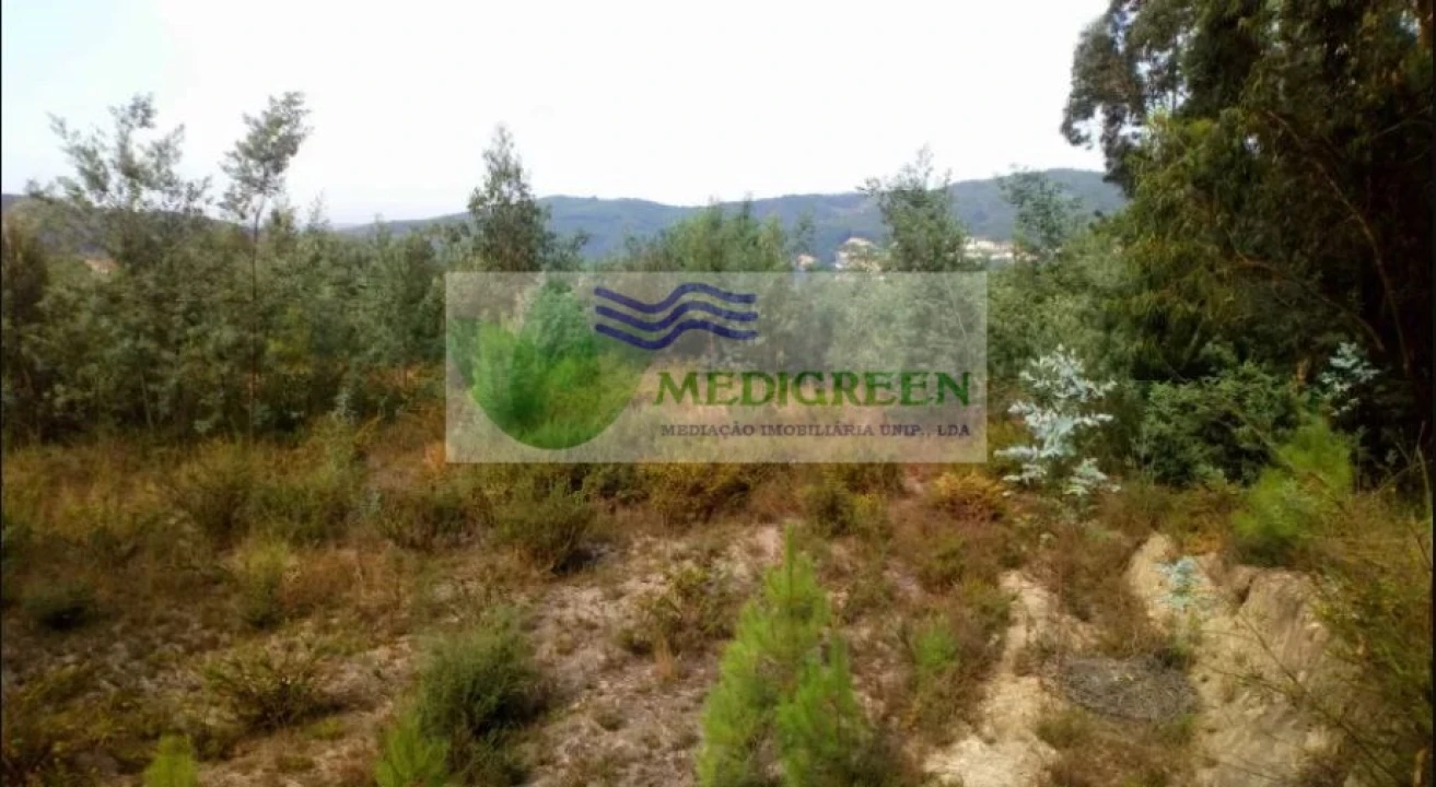 Terreno para Venda em Cedrim e Paradela Foto 2