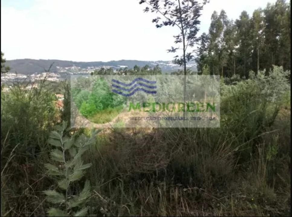 Terreno para Venda em Cedrim e Paradela Foto 6