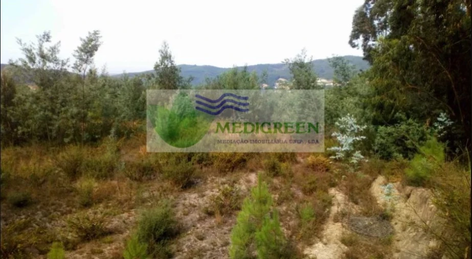 Terreno para Venda em Cedrim e Paradela Foto 2