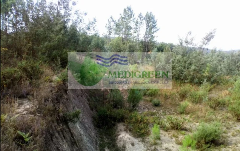 Terreno para Venda em Cedrim e Paradela Foto 3