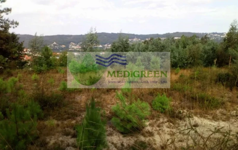 Terreno para Venda em Cedrim e Paradela Foto 4