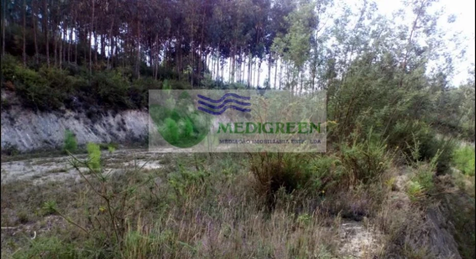 Terreno para Venda em Cedrim e Paradela Foto 5