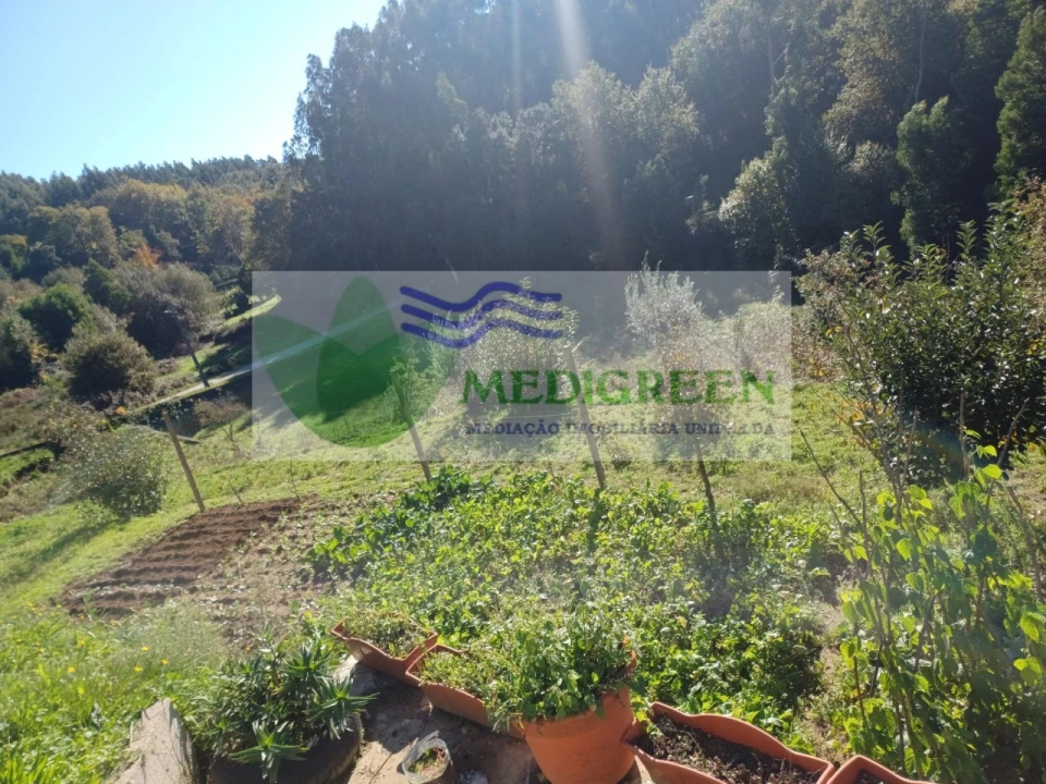 Terreno para Venda em Silva Escura e Dornelas Foto 4