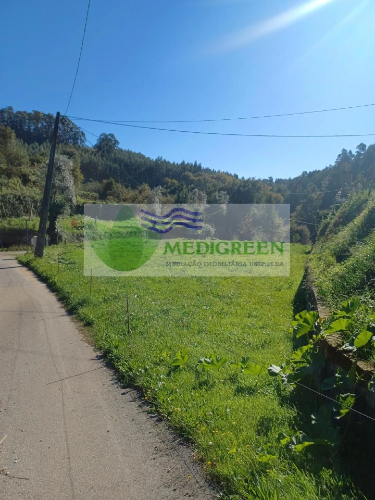 Terreno para Venda em Silva Escura e Dornelas Foto 2