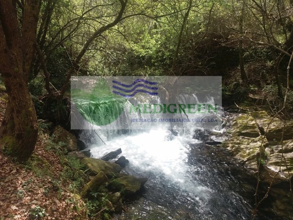 Terreno para Venda em Cedrim e Paradela Foto 2