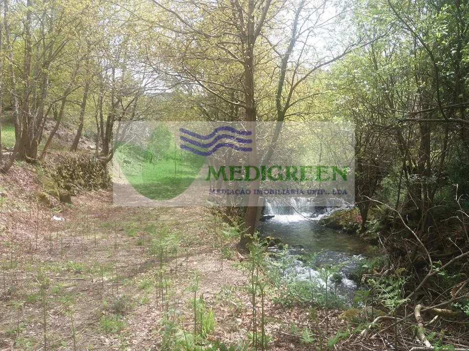 Terreno para Venda em Cedrim e Paradela Foto 1