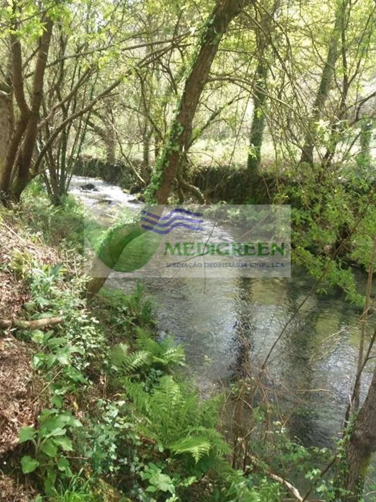Terreno para Venda em Cedrim e Paradela Foto 4