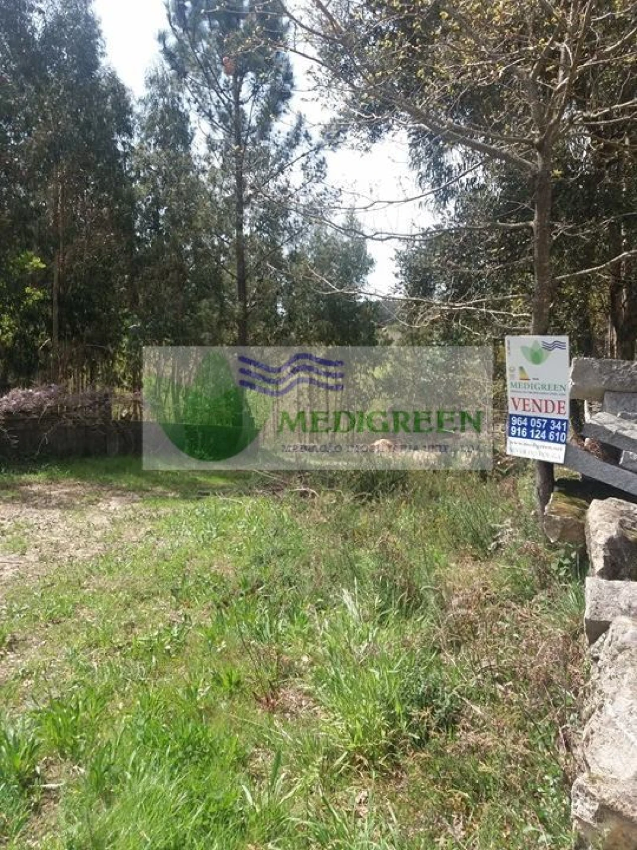 Terreno para Venda em Cedrim e Paradela Foto 5