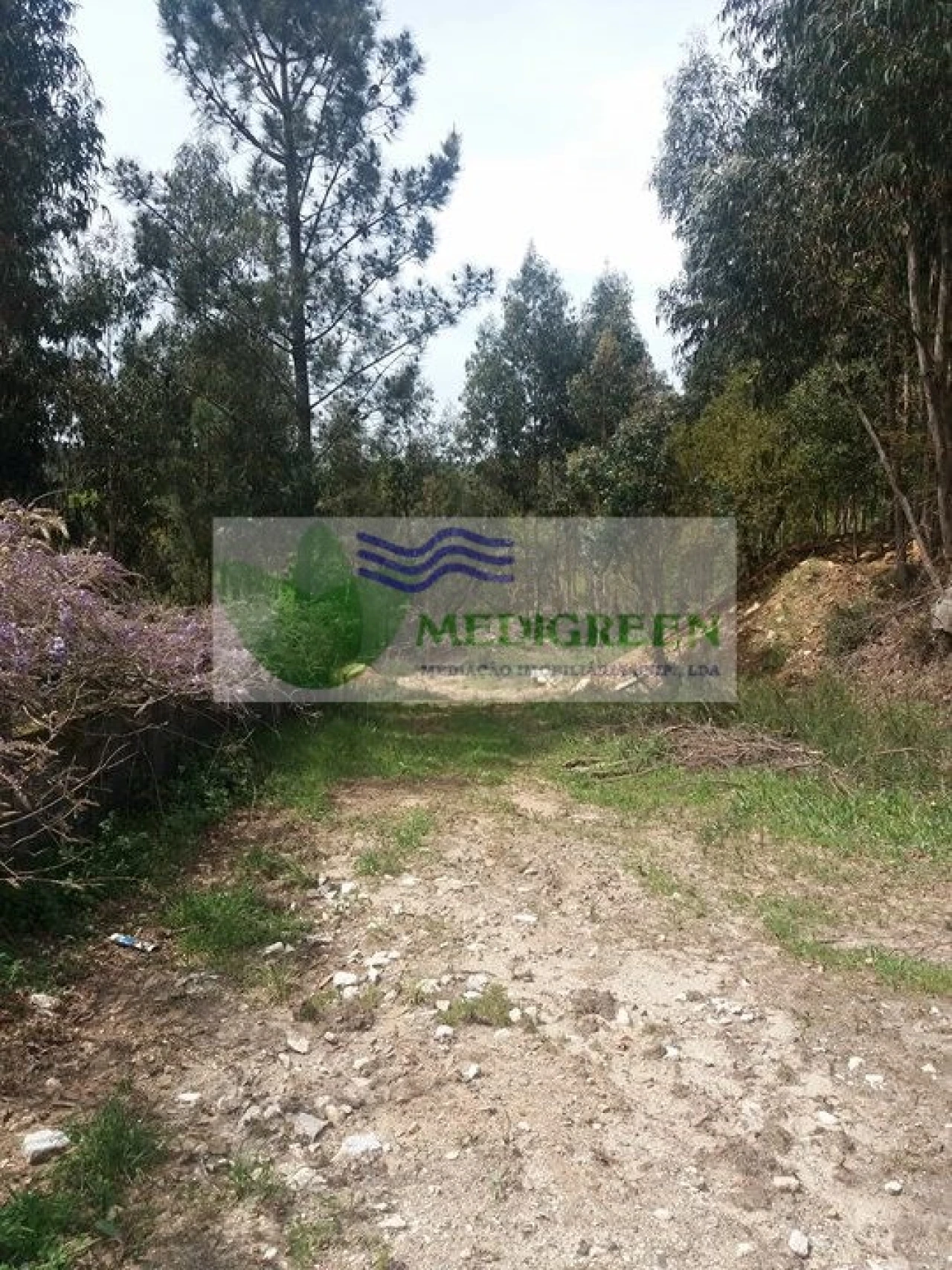 Terreno para Venda em Cedrim e Paradela Foto 6