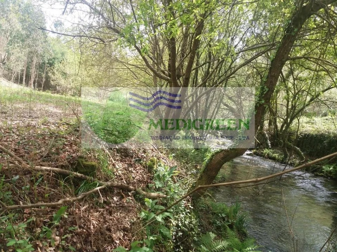 Terreno para Venda em Cedrim e Paradela Foto 3