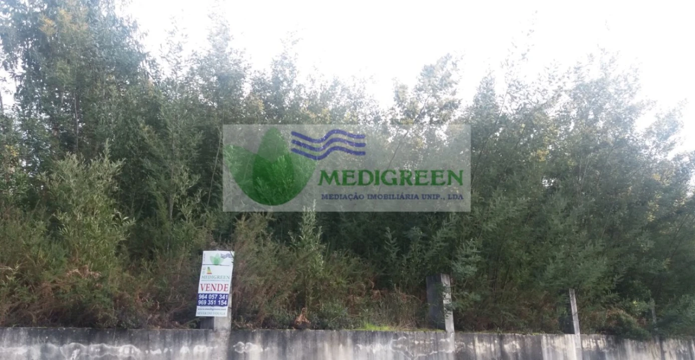 Terreno para Venda em Cedrim e Paradela Foto 5