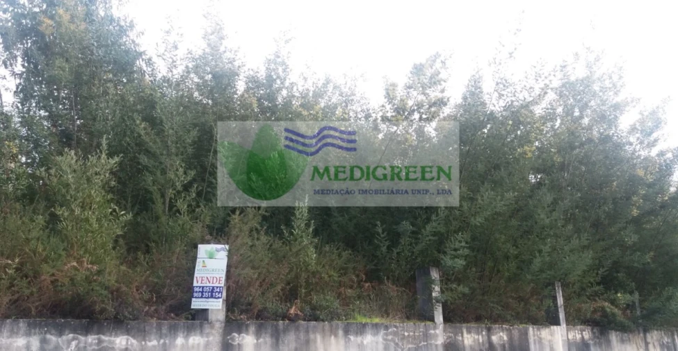 Terreno para Venda em Cedrim e Paradela Foto 5