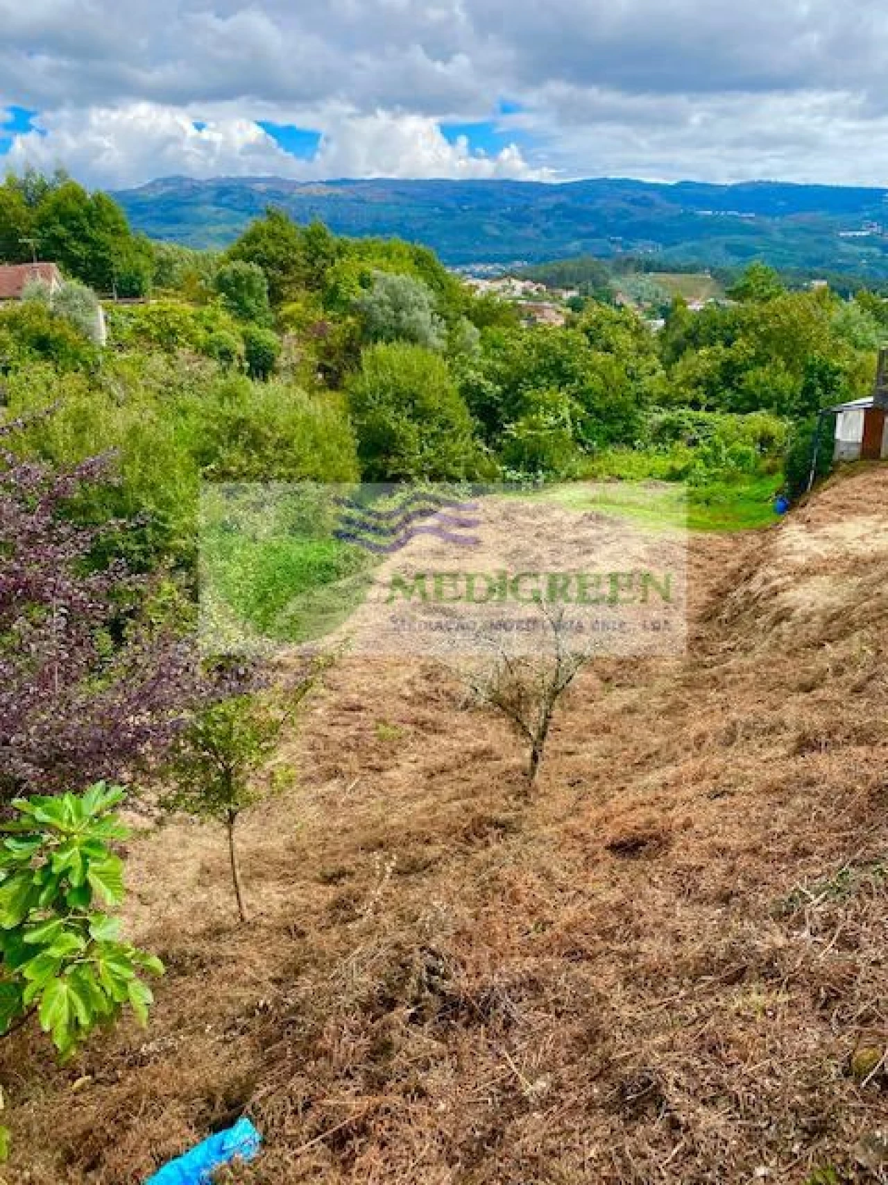 Terreno para Venda em Sever do Vouga Foto 1