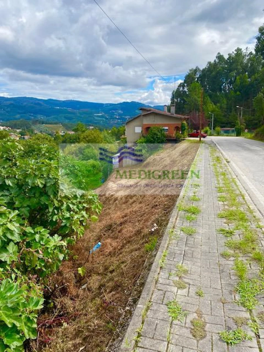Terreno para Venda em Sever do Vouga Foto 2