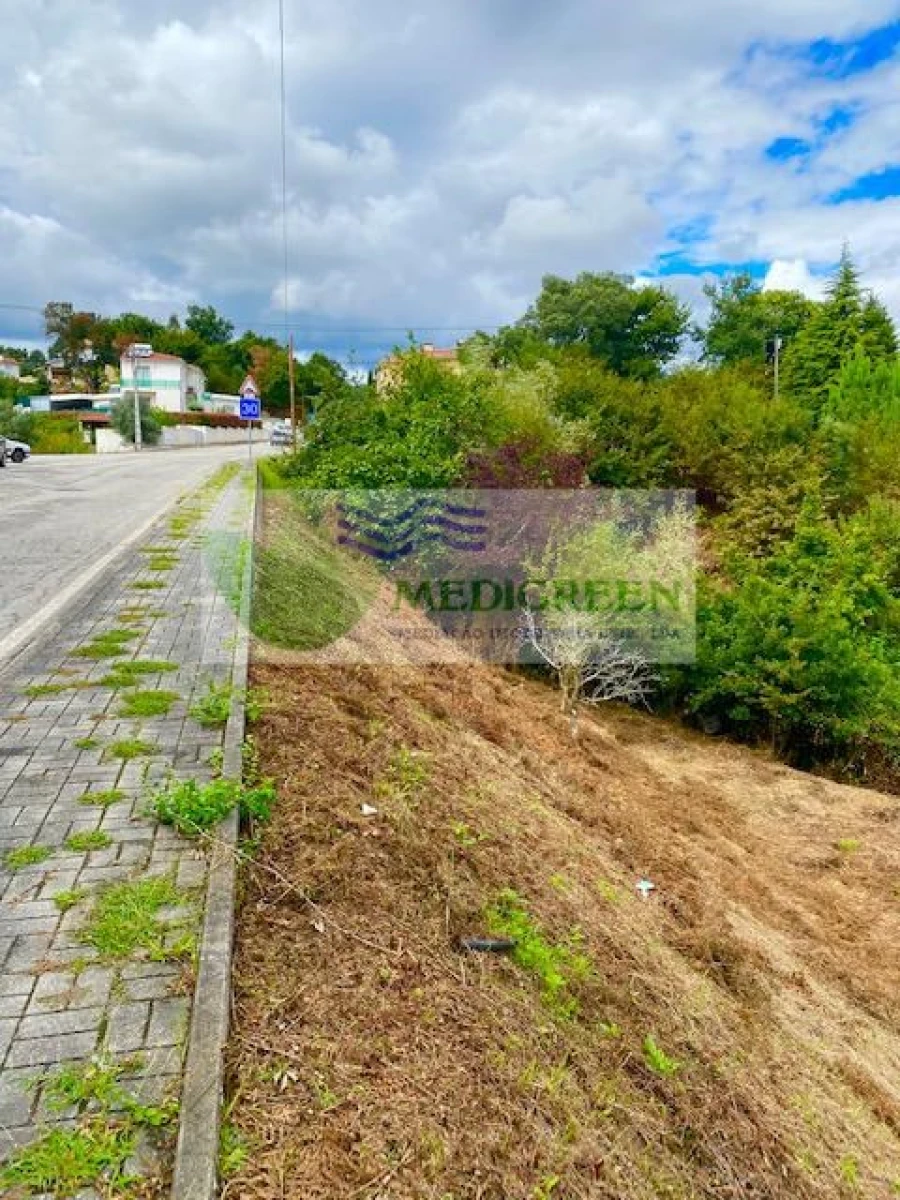 Terreno para Venda em Sever do Vouga Foto 6