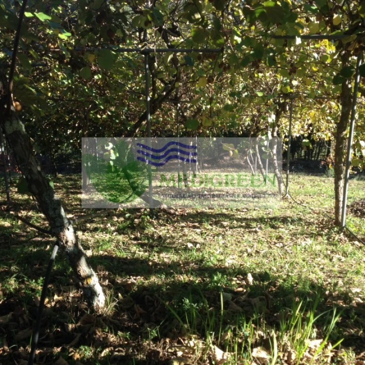 Terreno para Venda em Silva Escura e Dornelas Foto 4