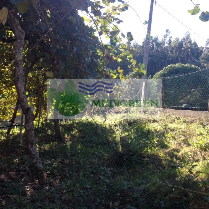 Terreno para Venda em Silva Escura e Dornelas Foto 6