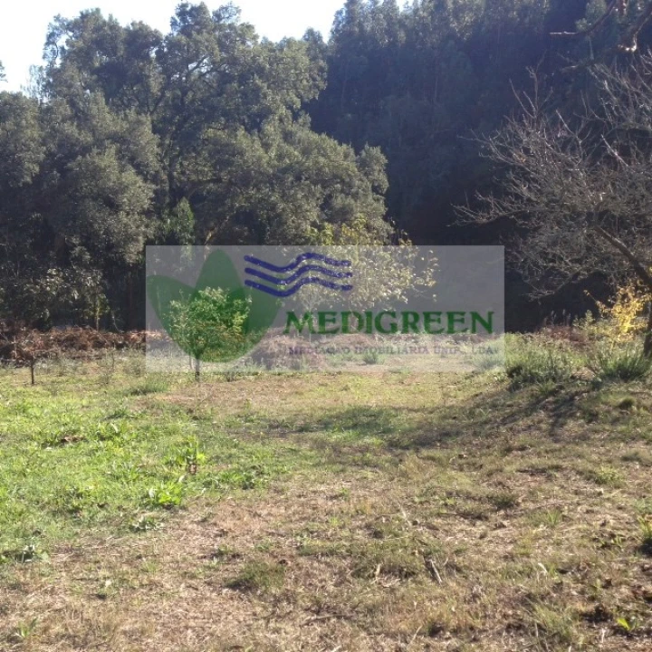 Terreno para Venda em Silva Escura e Dornelas Foto 8