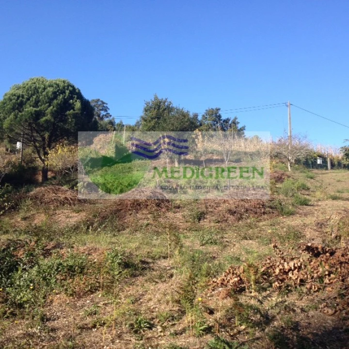 Terreno para Venda em Silva Escura e Dornelas Foto 13